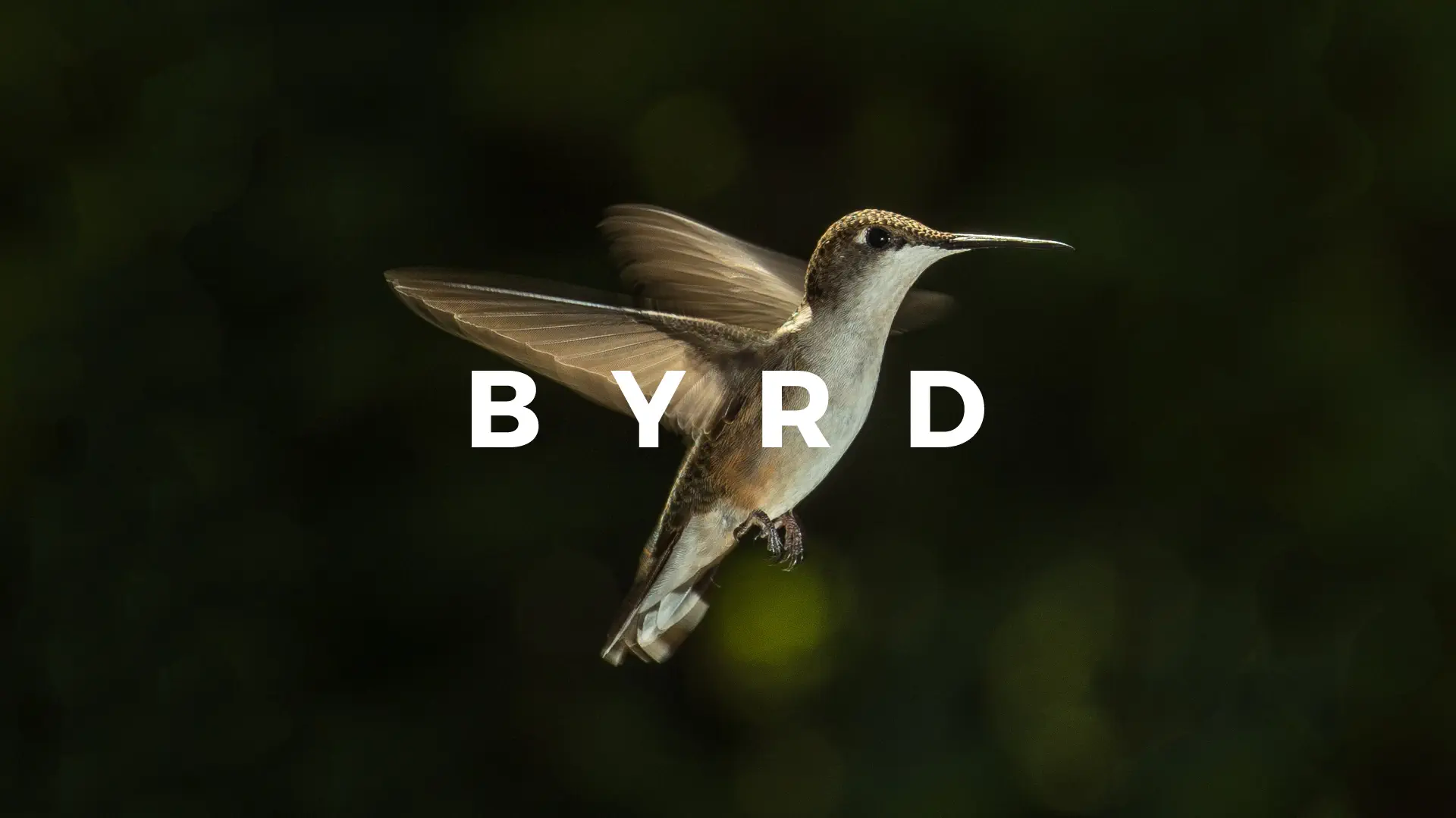 BYRD